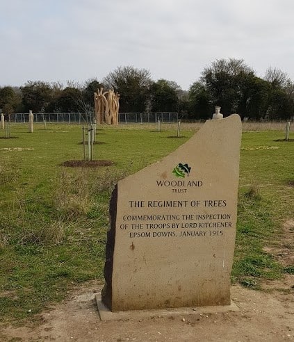 Guided walk at Langley Vale Wood