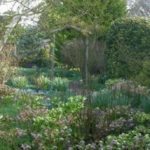 Reigate – Caxton House Garden in the Spring