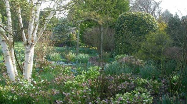 Reigate – Caxton House Garden in the Spring