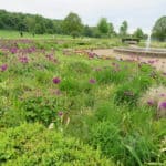 From Reigate Town to the Heath and back