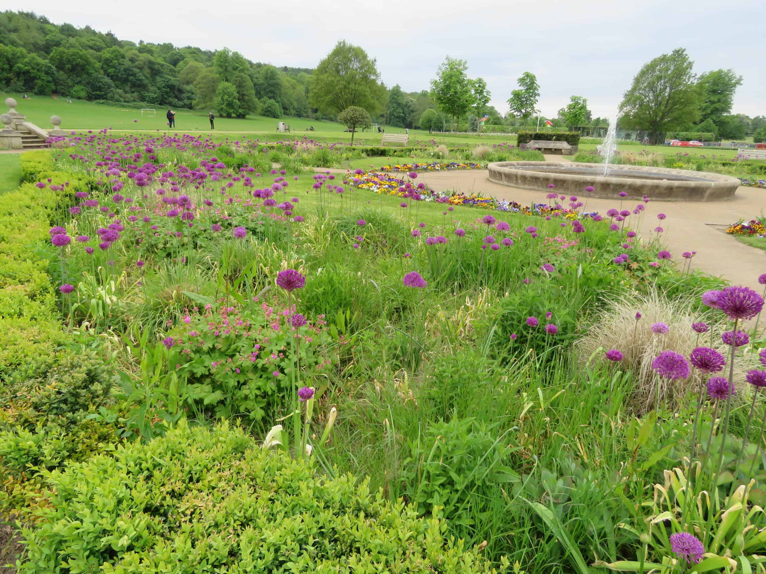 From Reigate Town to the Heath and back