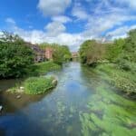 A Wild Walk by the River Mole