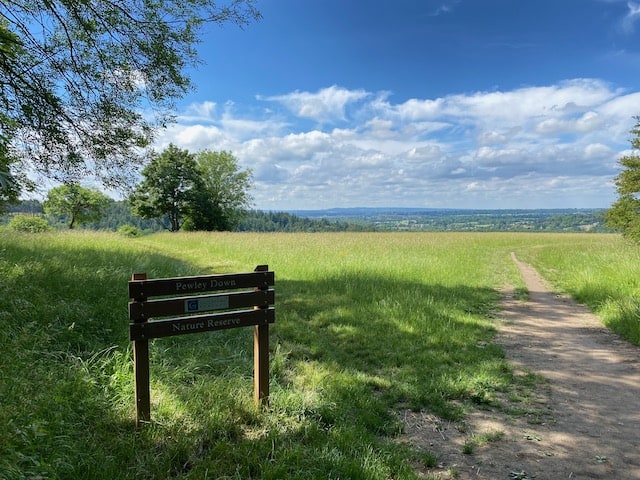 In association with Guildford Book Festival – Broadcaster Jake Tyler will lead a walk to Pewley Down and talk about his new book