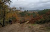 Explore Farnham Heath