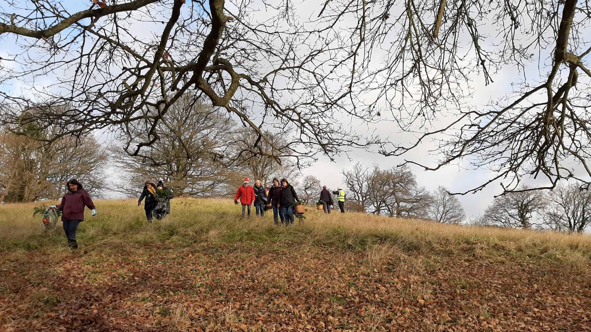 Christmas Wreath Making Surrey Hills Society