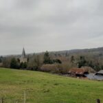 Walk off your Christmas Pudding from Albury to Shere