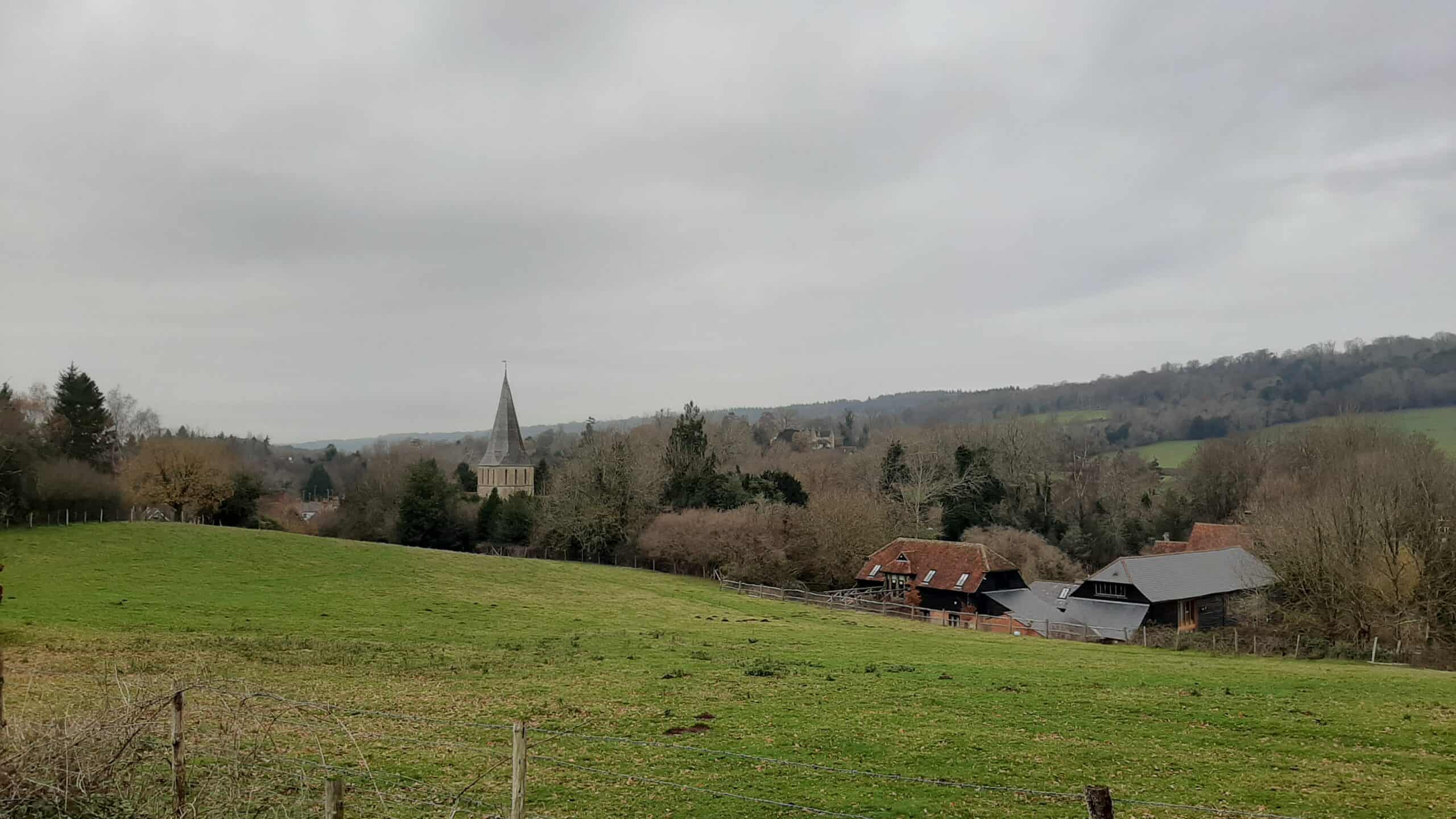 Walk off your Christmas Pudding from Albury to Shere