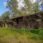 Explore Hankley Common and the Atlantic Wall
