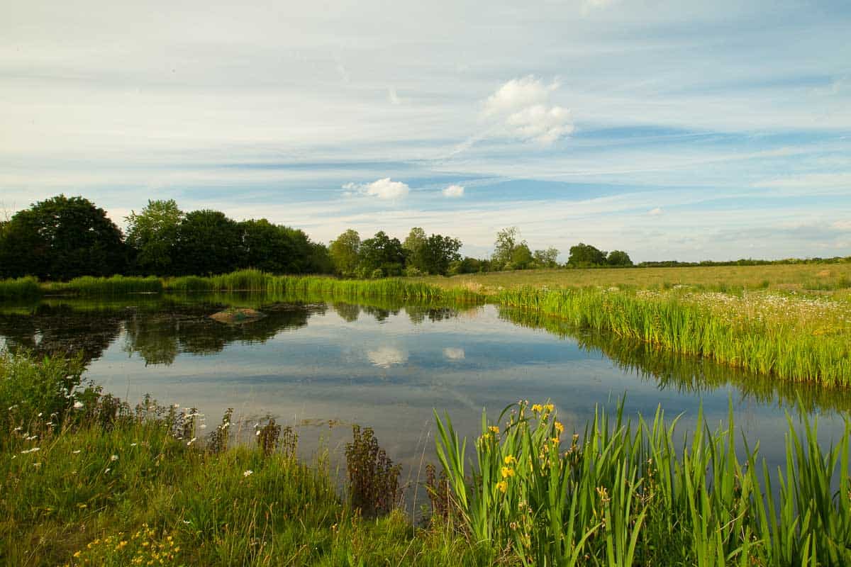 Discovering Clandon Wood Nature Reserve