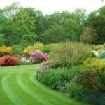 A visit to Spurfold Gardens, Peaslake