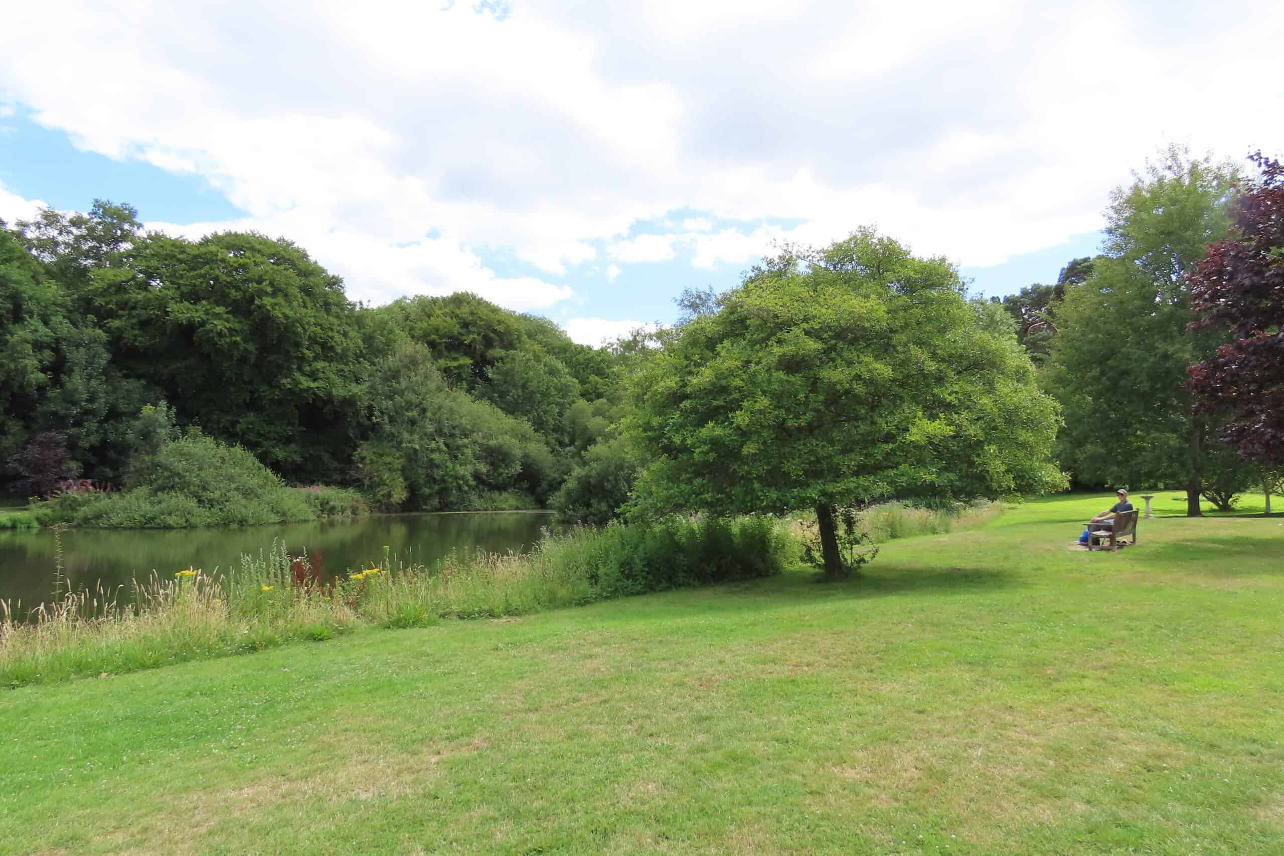 Trees and Flora around Hascombe village