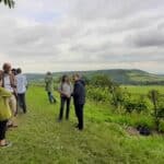Explore Denbies Hillside