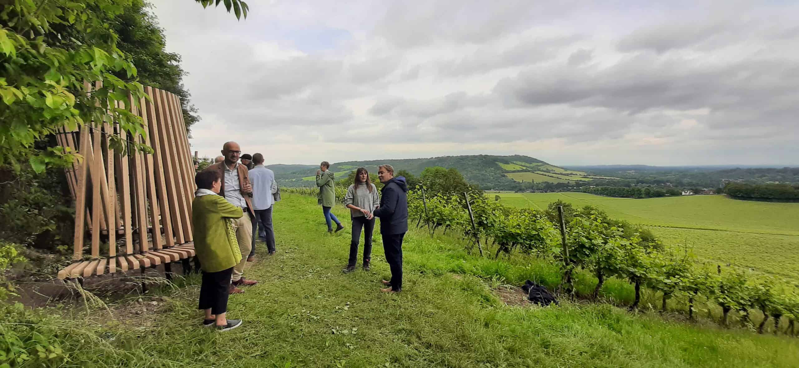 Explore Denbies Hillside