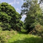 Discover the hidden secrets of Holmwood Common