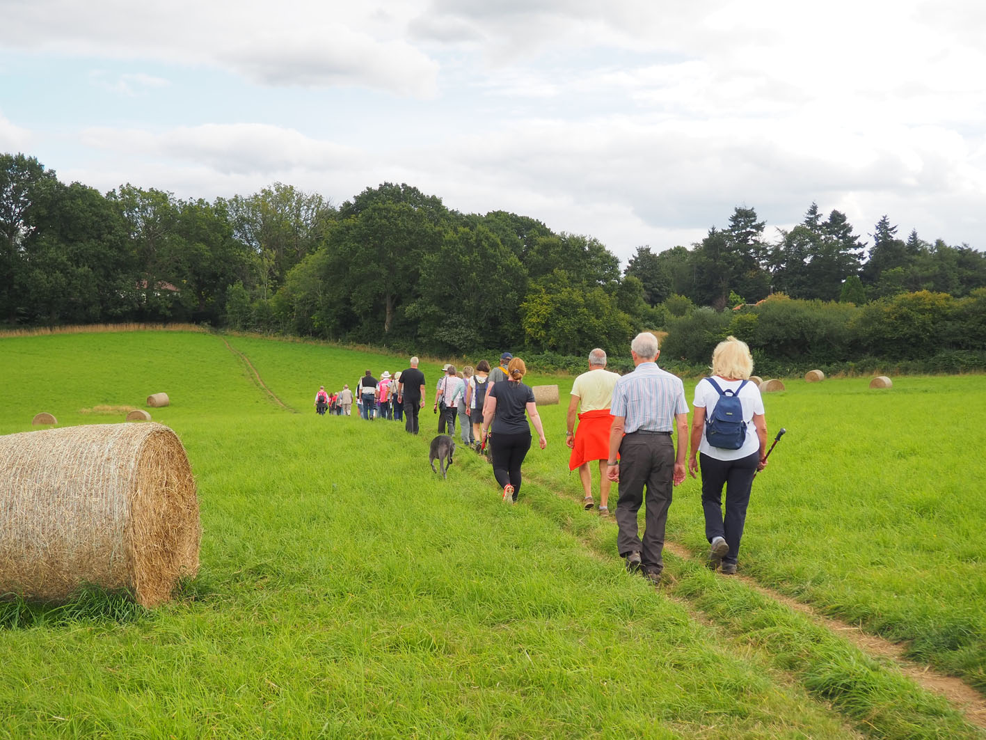 Explore Gomshall as part of Guildford's Walkfest
