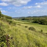Explore Manor Farm, Wotton and the lower slopes of the North Downs