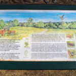 Walkfest Launch and West Horsley Sheepleas walk