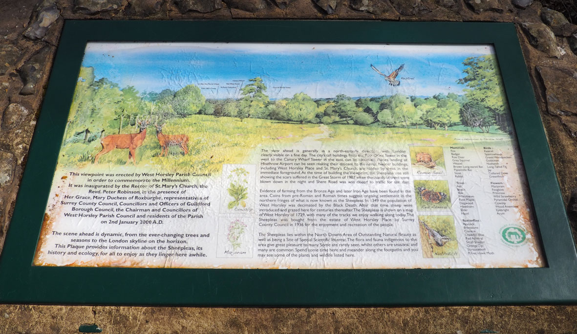 Walkfest Launch and West Horsley Sheepleas walk