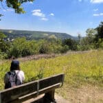 Free Sunday walk around Mole Valley Loop