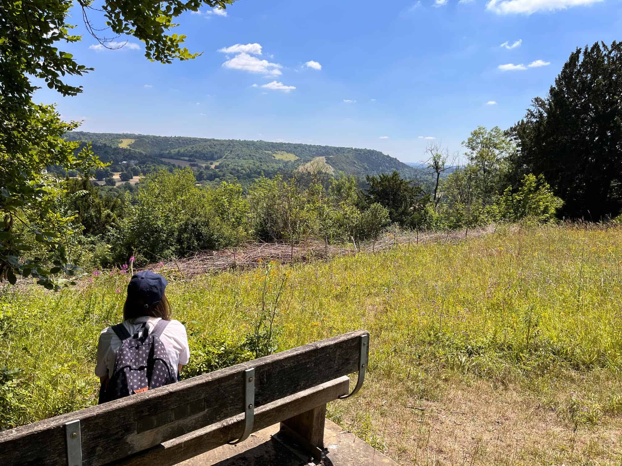 Free Sunday walk around Mole Valley Loop