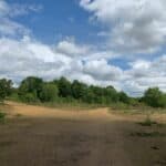 Exploring Witley and Milford Commons