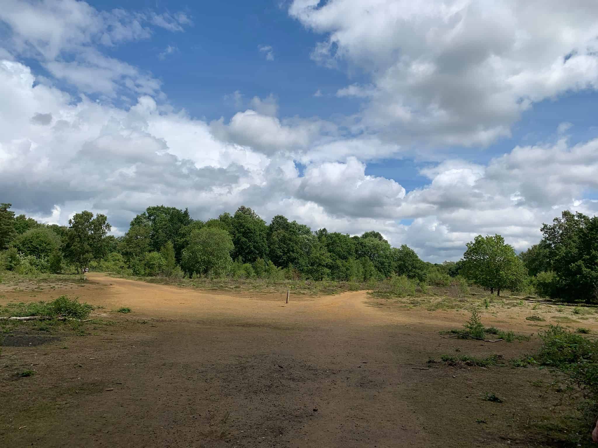 Exploring Witley and Milford Commons