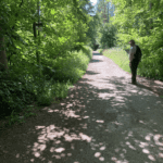 Explore Norbury Park - free guided walk