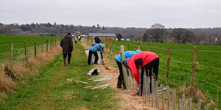 Community Tree Planting Day at Lydling Farm