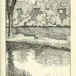 ACMS - "In the Garden with William Morris: Flora as art"