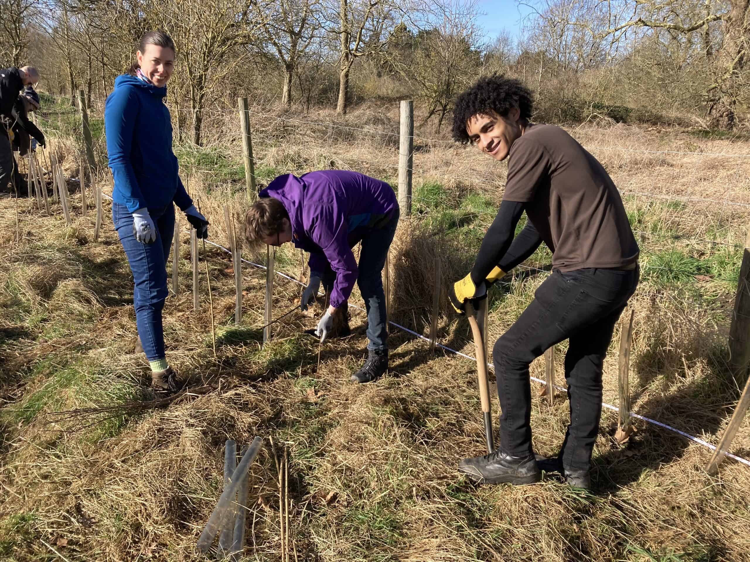 Community Hedge Planting Day at Rams Cottage