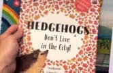 October Half Term Hedgehog 10am workshop