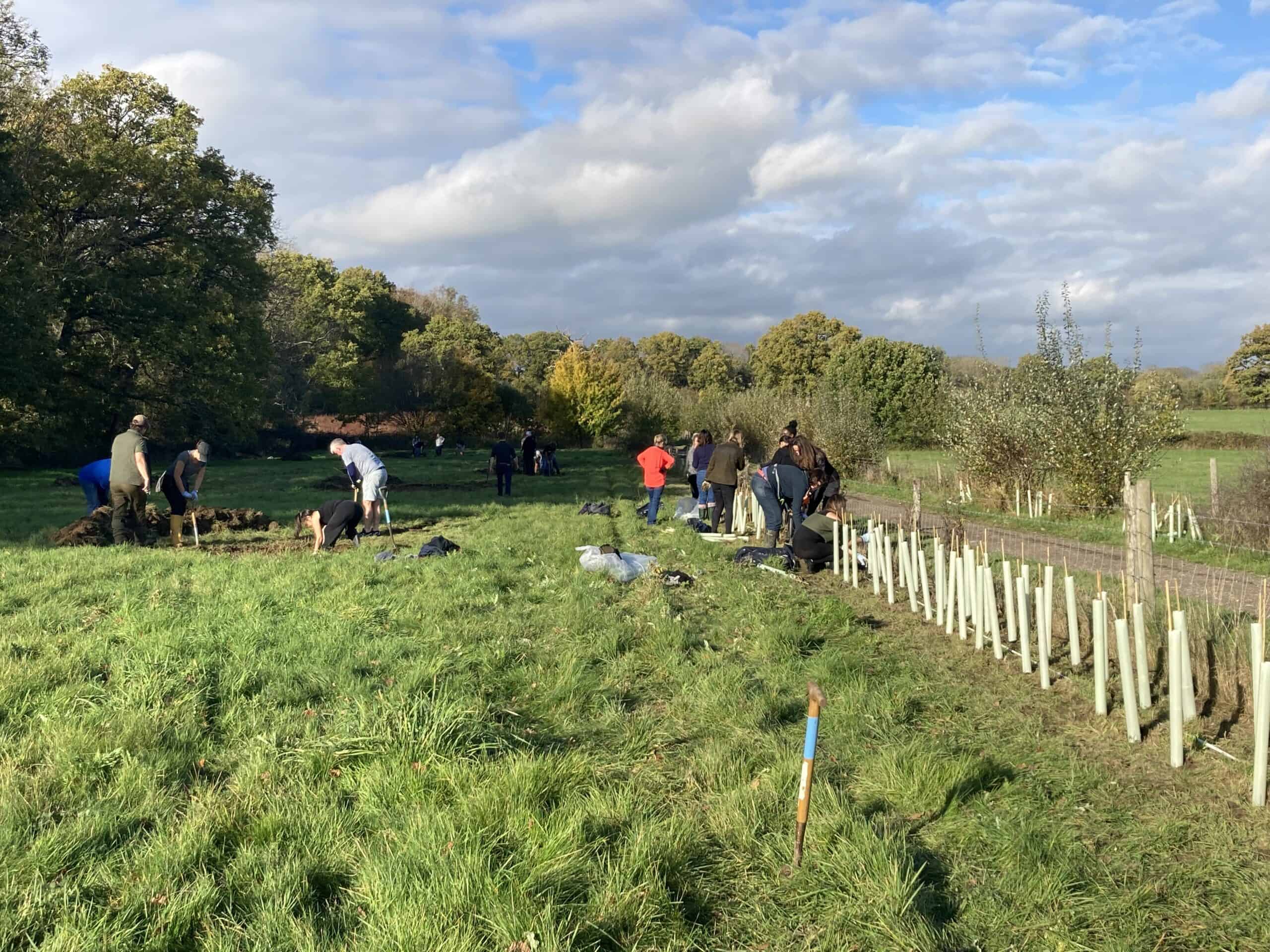 Community Hedge Planting Day at Woodcote Farm