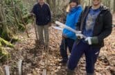 Festive Community Hedge Planting Day in Dunsfold