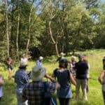 Guided Walk on Banstead Common