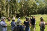 Guided Walk on Banstead Common