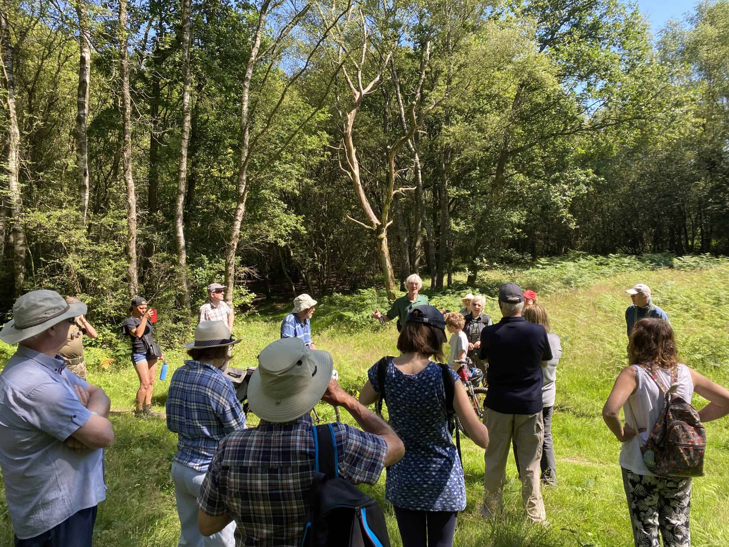 Guided Walk on Banstead Common