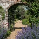 Visit the beautiful gardens at Dolphin House, Shackleford