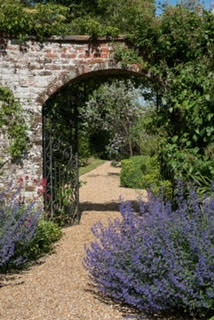 Visit the beautiful gardens at Dolphin House, Shackleford