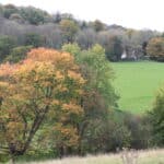 Exploring the Polesden Lacey Estate    First Sunday Walk of the Month