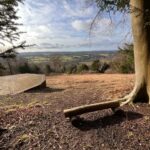 Explore Shere Woodlands and Netley Park as part of Guildford Walkfest