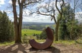 Walking the North Downs Way from Guildford to Dorking as part of Guildford Walkfest