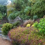 A Garden Visit to Coldharbour House