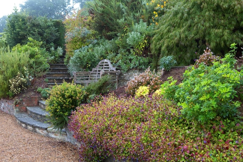 A Garden Visit to Coldharbour House