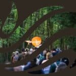WOODLAND WONDER: SURREY HILLS SYMPOSIUM 2023