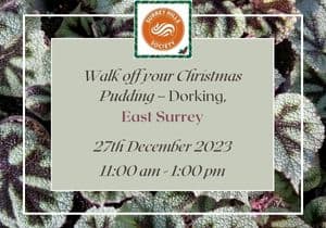 Walk off your Christmas Pudding – East Surrey