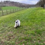 Woldingham Circular – First Sunday of the Month Walk
