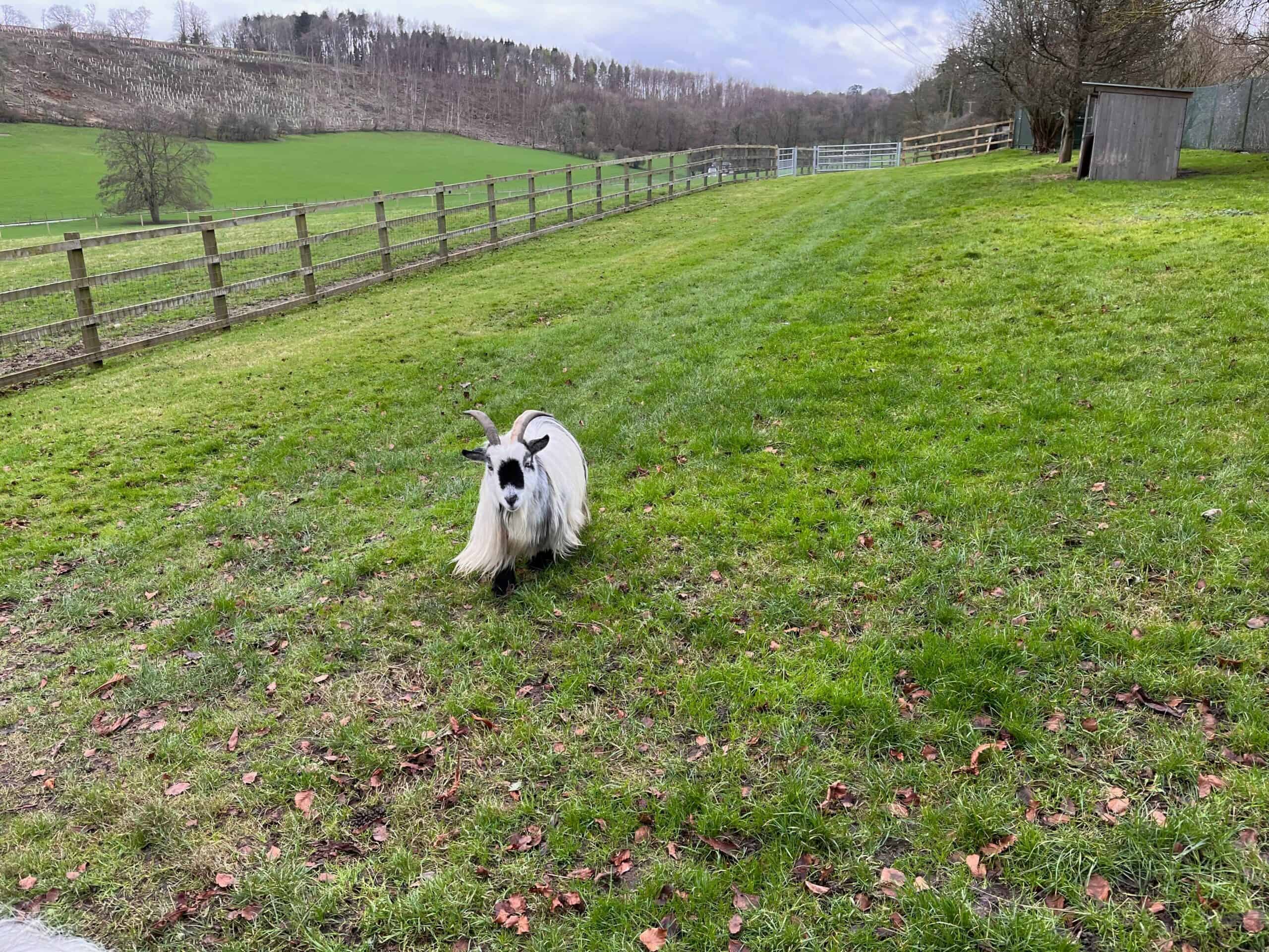 Woldingham Circular – First Sunday of the Month Walk