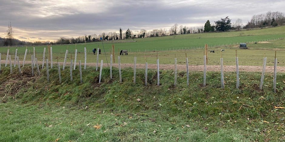 Community Hedge Planting Day Wonersh Day 1