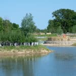 Guided tour of Knowle Park