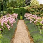 A visit to a garden with Gertrude Jekyll connections at Lower House, Bowlhead Green